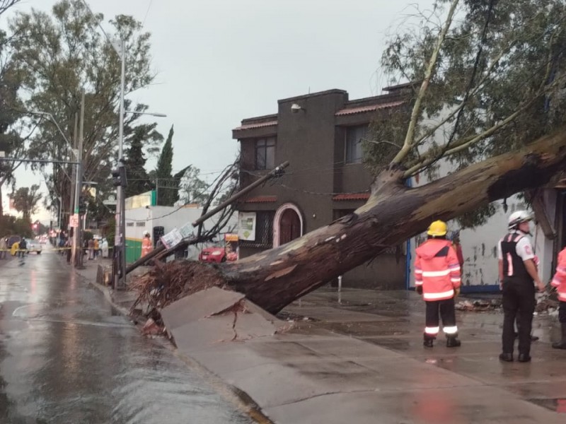 Se registran diversos daños en el estado por diluvio