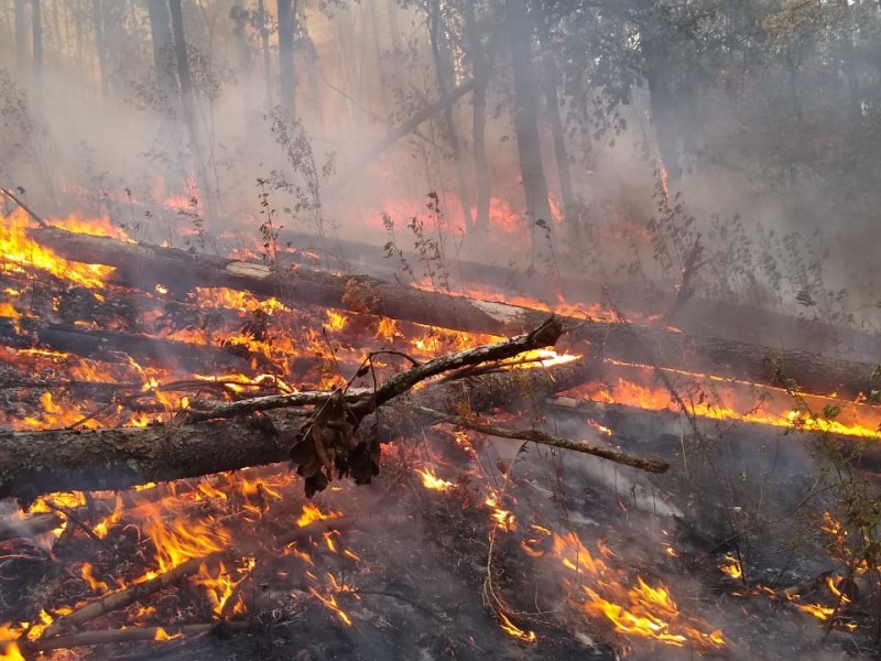 Se registran en Edomex más de 800 incendios forestales