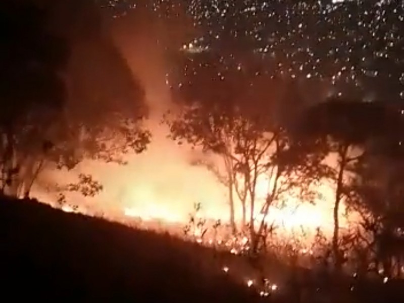 Se registró un incendio forestal en el cerro del Colli