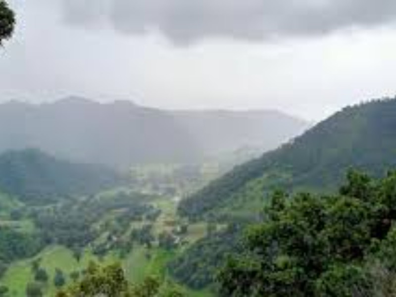 Se registró un nuevo feminicidio en Veracruz, autoridades investigan el hecho