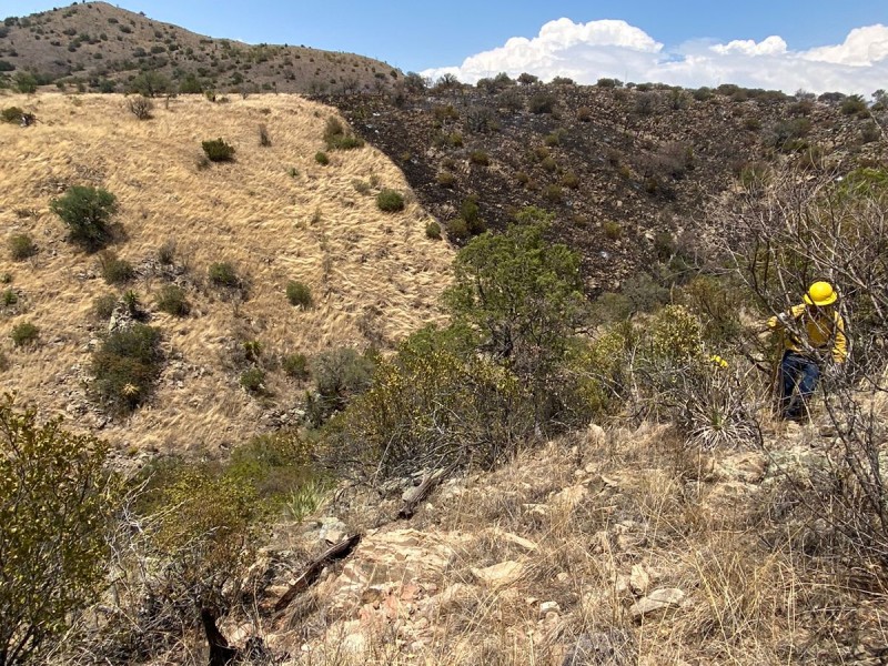 Se rompe récord de incendios forestales en Sonora