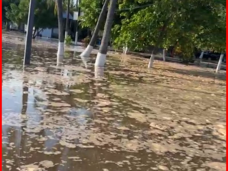Se sale el mar en San Blas, consecuencias de huracán 