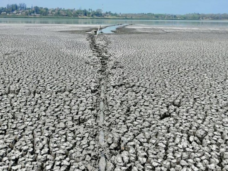 Se seca la laguna de El Farallón