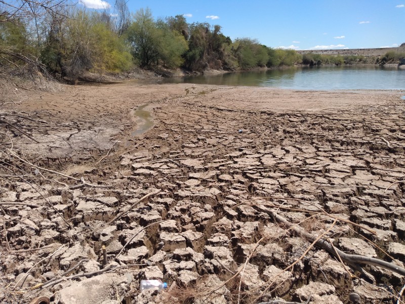 Se seca la laguna 