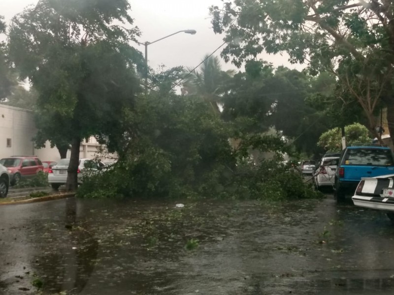 Se siente el paso de Narda por Mazatlán