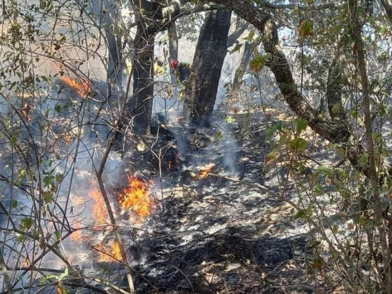 Se siguen presentando incendios en Puebla