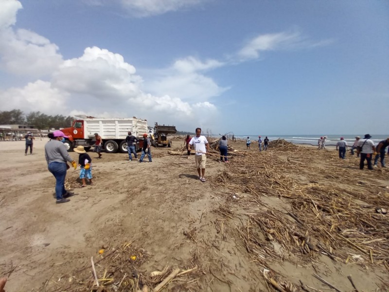 Se suman comerciantes y ciudadanos a limpieza de playa