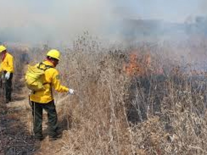 Se trabaja en la prevención de incendios en lo Altos