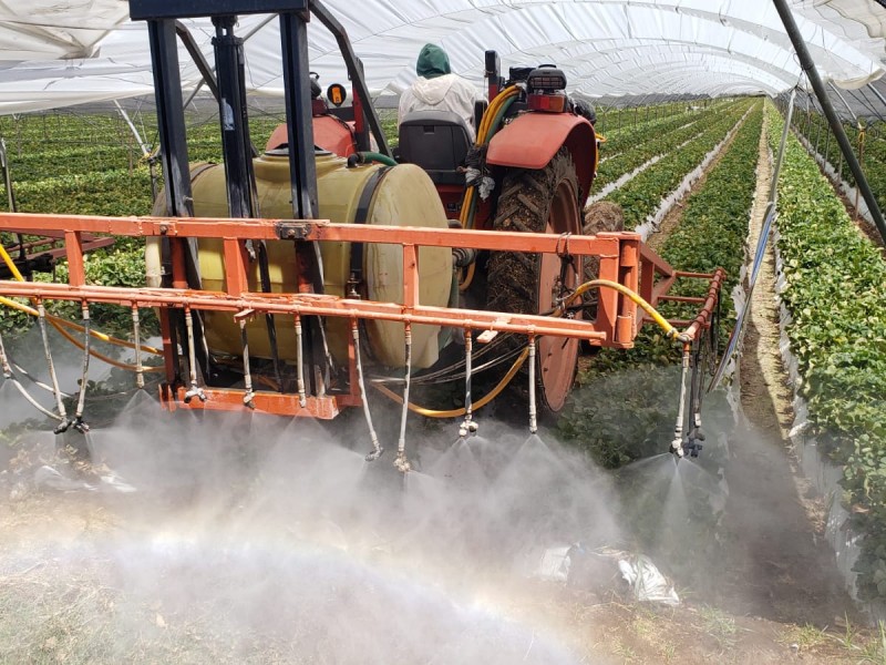 Se triplica precio de los fertilizantes por conflicto en Ucrania