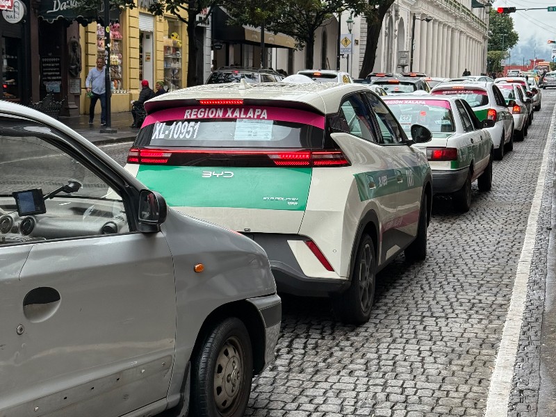 Se une Xalapa al Día Mundial sin Auto