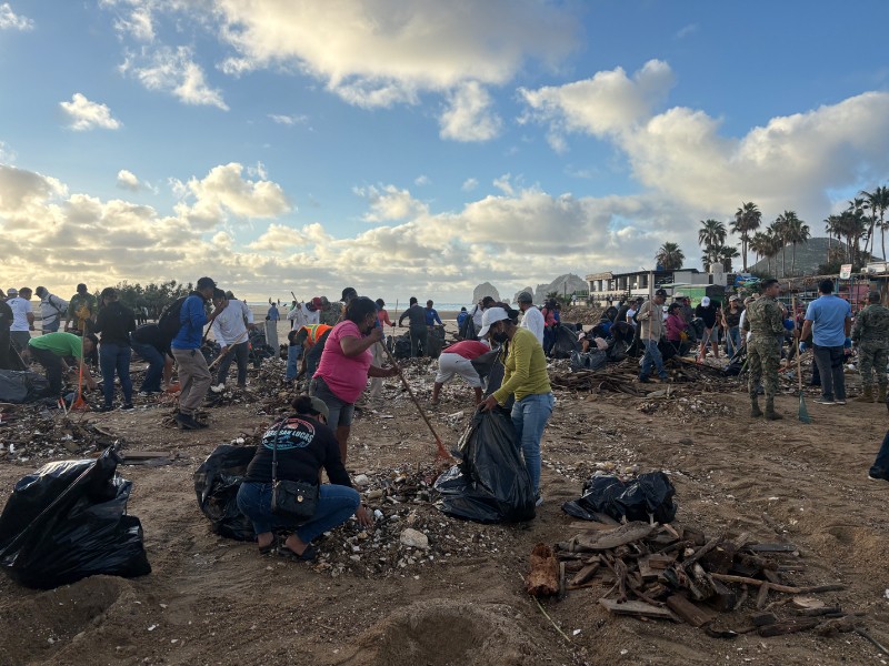 Se unen 300 personas para limpiar la bahía de Cabo San Lucas