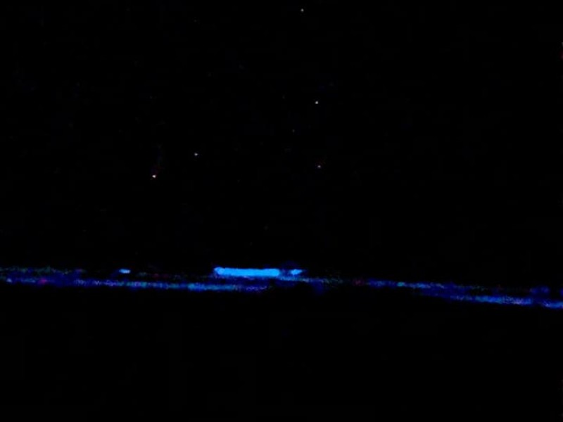 Se vuelve a registrar bioluminiscencia en Acapulco