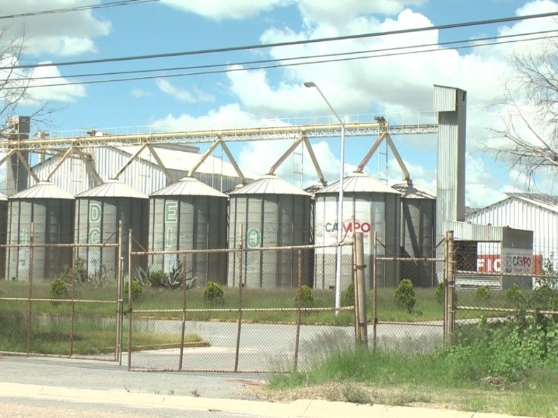 Secampo asegura que planta de frijol no se vende