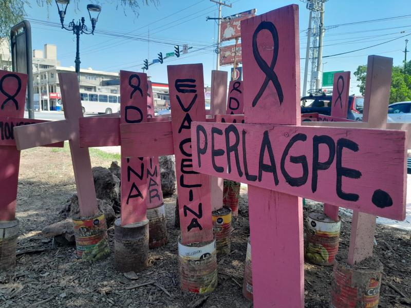 Secretaria de las Mujeres defiende estrategia pese aumento de feminicidios