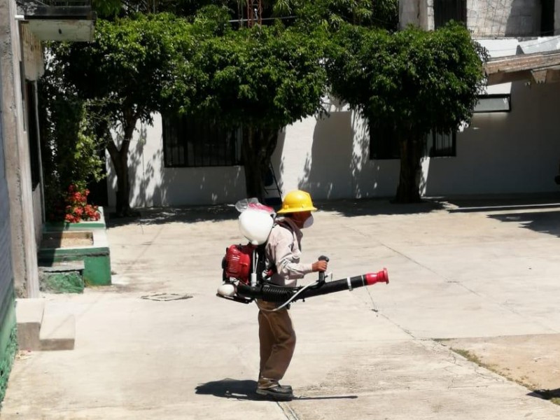 Secretaría de Salud emite resultados de las acciones contra arbovirosis