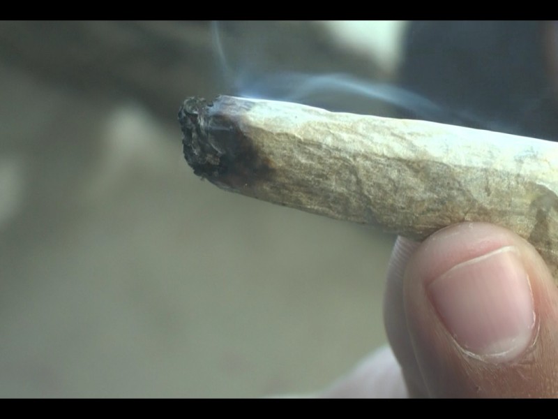Secretaria de Salud preocupada por legalización de Marihuana