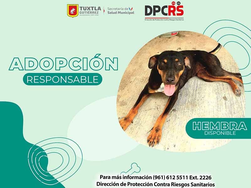 Secretaría de Salud promueve adopción responsable