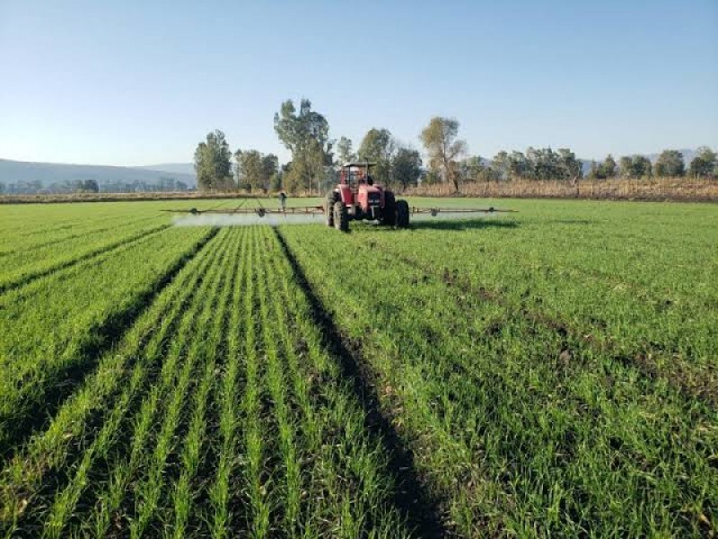 Secretario de agricultura advierte sobre las bajas temperaturas