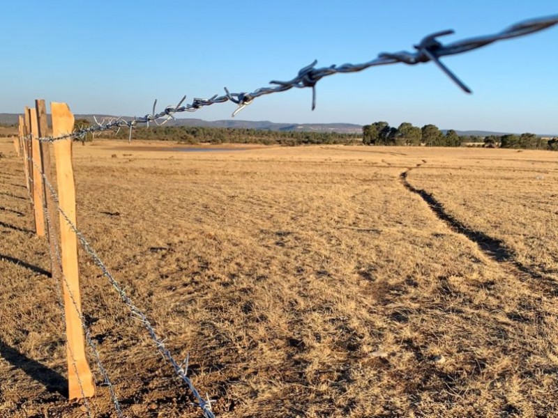 Sector del campo en Durango tuvo pérdidas del 100%