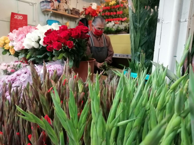 Sector floricultura sin producir el 50% de sus flores