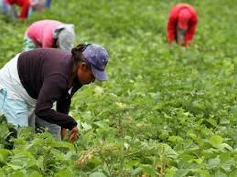 Sector hotelero y textil con mas mujeres laborando