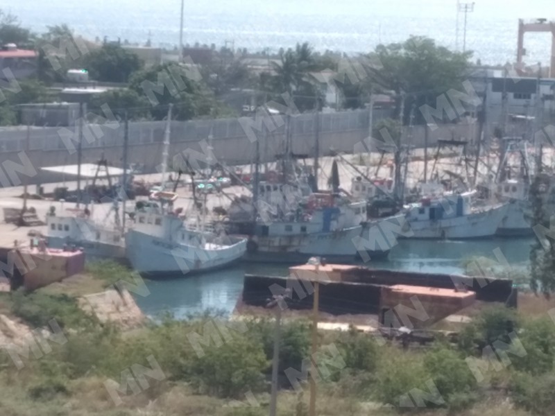Sector pesquero de Salina Cruz enfrenta dificultades económicas, solicitan apoyo