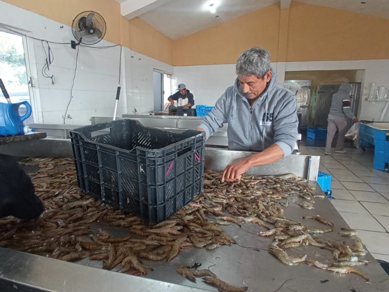 Sector pesquero vislumbra otro año complicado sin apoyos gubernamentales