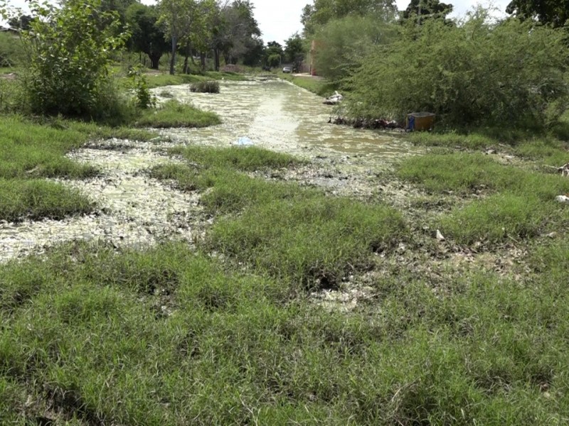 Sectores en Los Mochis continúan con afectaciones tras huracán Pamela