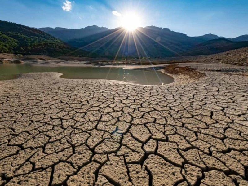 SEDARPA dará seguro agrícola en 11 localidades afectadas por sequía