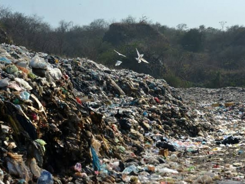 Sedema interviene 83 tiraderos de basura a cielo abierto