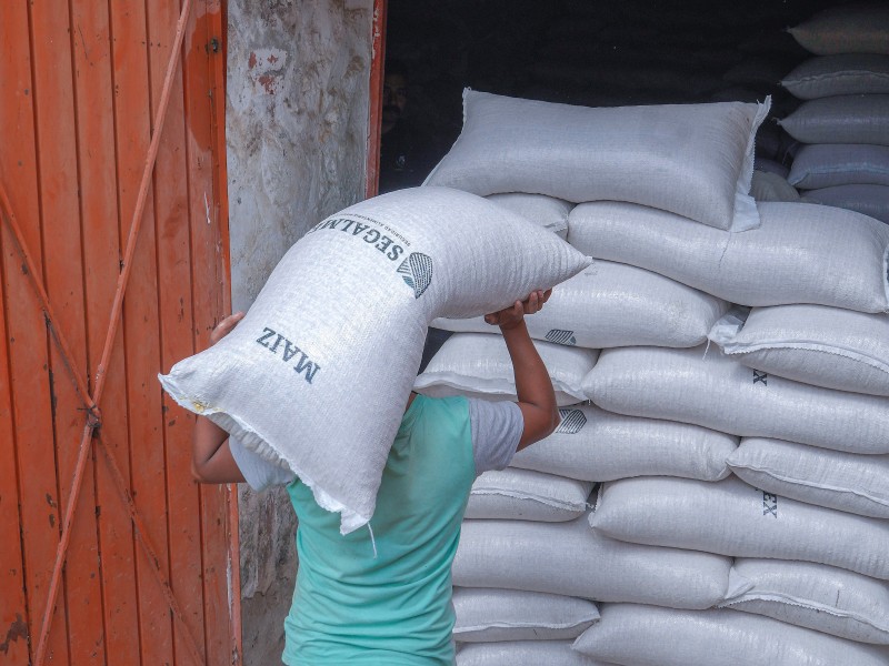 SEGALMEX fija precios de garantía para maíz y frijol