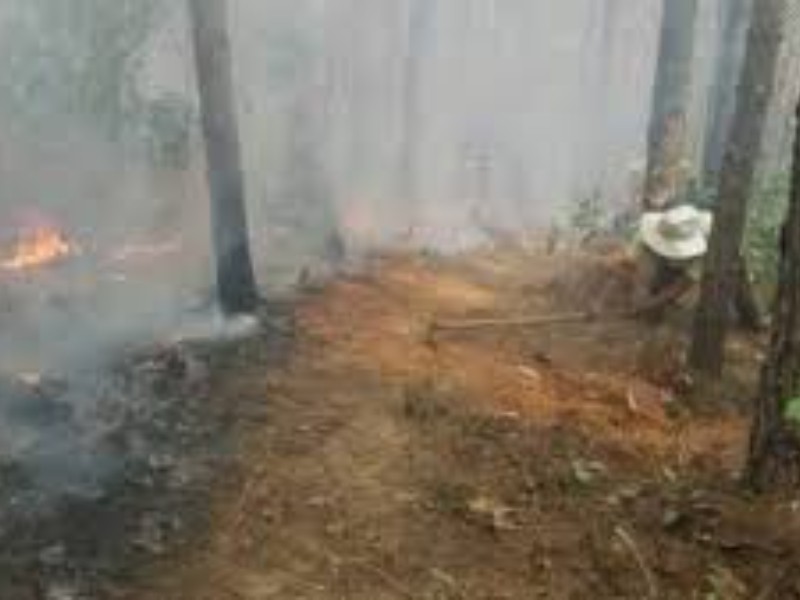 SEGOB denuncia que incendio de Coyomeapan es intencional