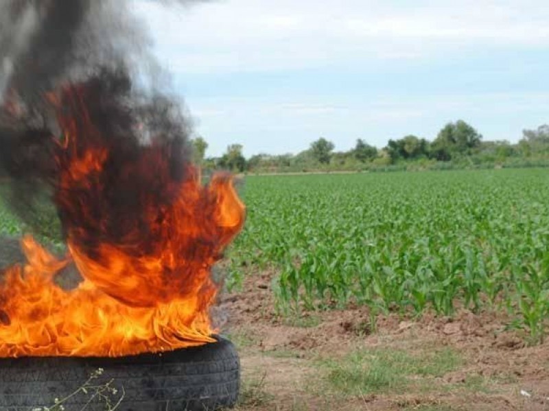 ¡Seguirá el frío! Piden a productores 