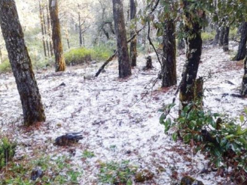 Seguirán en Querétaro el frío y las heladas