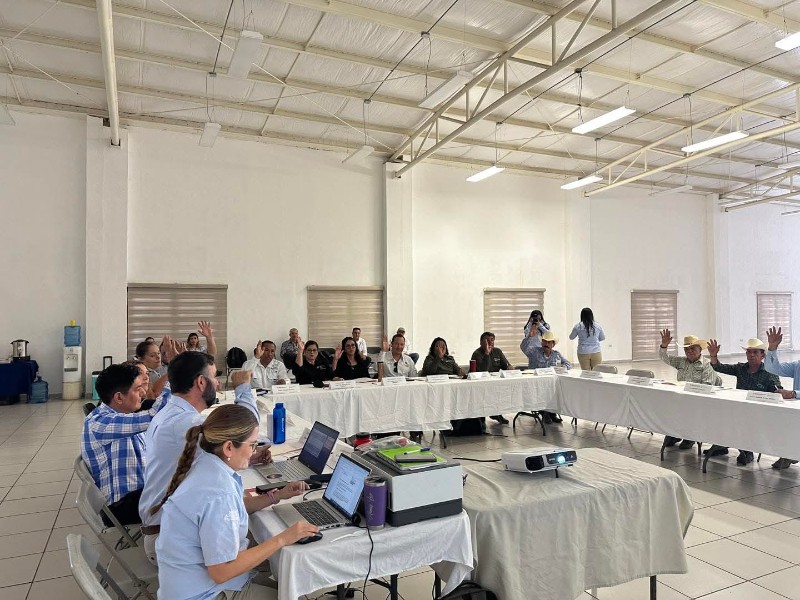 Segunda reunión del Consejo Asesor en Sierra Álamos–Río Cuchujaqui