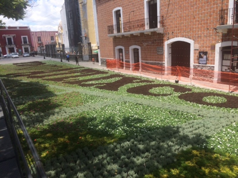 Segundo tapete floral monumental en Atlixco