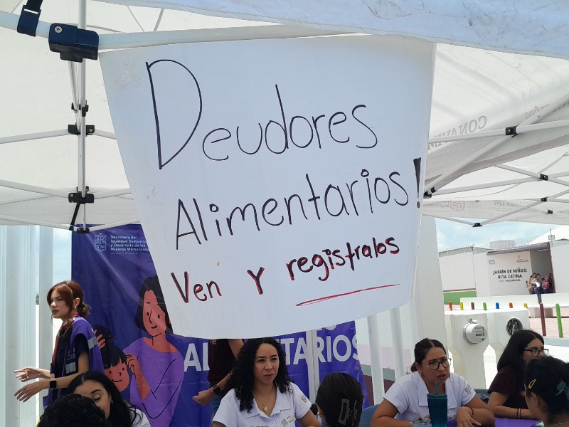 Seimujer levanta datos contra deudores alimentarios en Michoacán