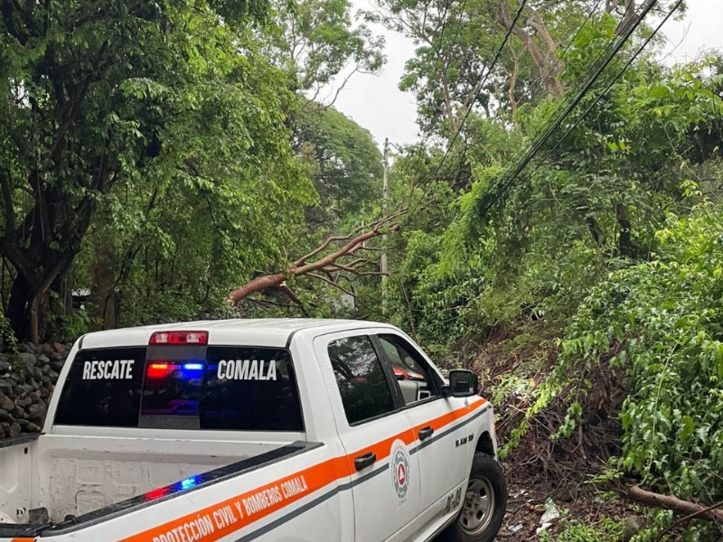 Seis árboles caídos, saldo de las lluvias registradas este miércoles