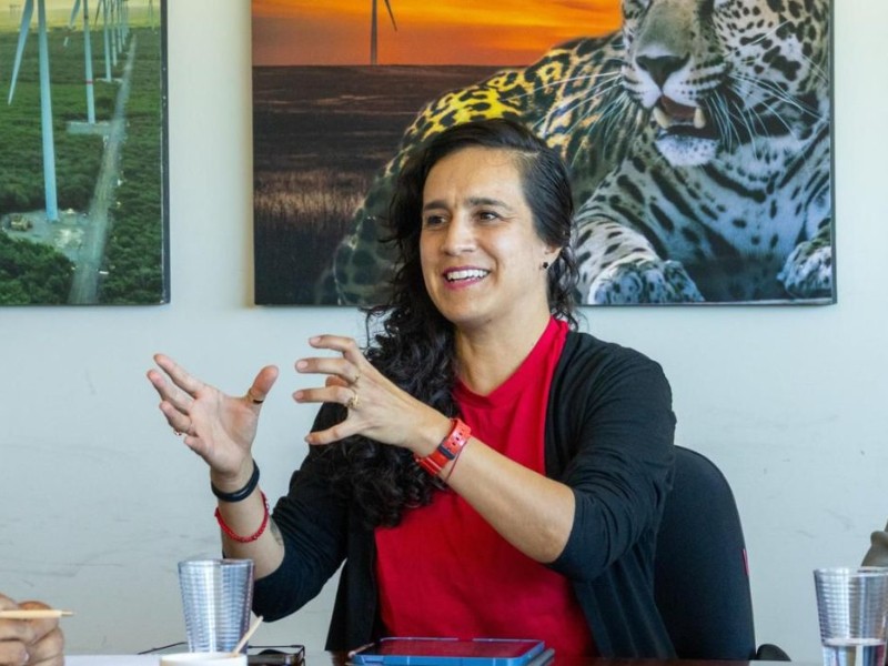 Seis árboles históricos de Oaxaca requieren cuidados urgentes y permanentes