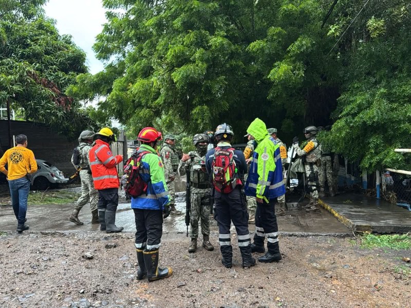 Seis viviendas inundadas por lluvias y 12 árboles derribados