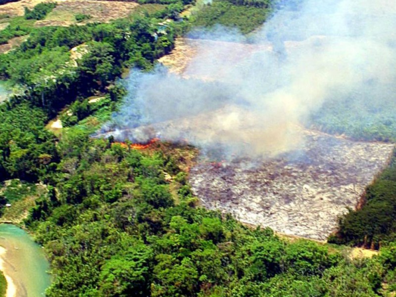 Selva lacandona afectada por incendios forestales