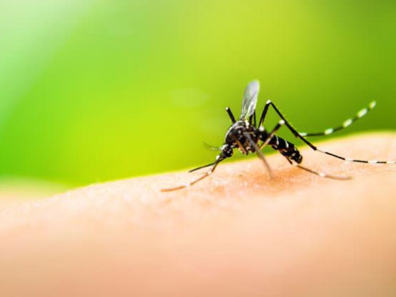 Semana 44 epidemiológica con 30,609 casos de Dengue