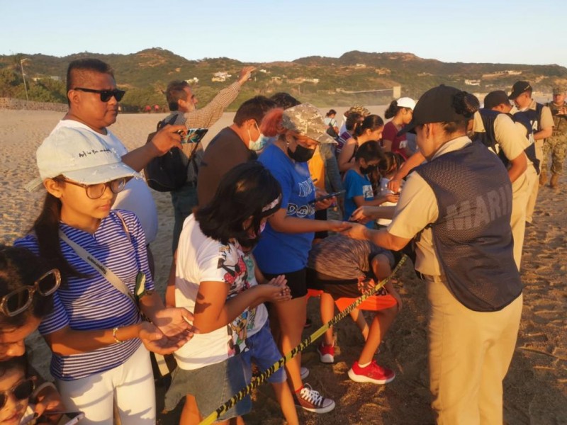 SEMAR libera tortugas en playas de Salina Cruz