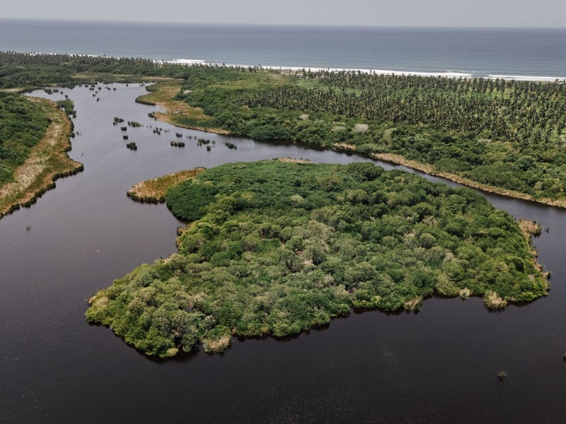 Semarnat alerta graves daños ambientales por construcción del nuevo puerto en Manzanillo