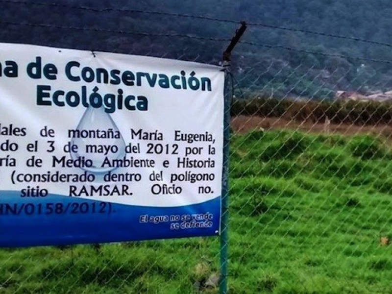 Semarnat interviene en conservación de humedales en SCLC