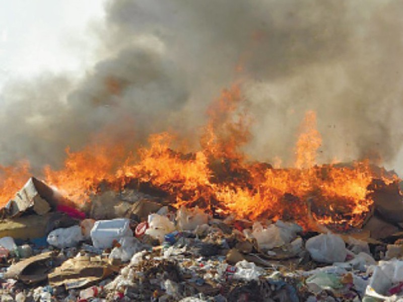 Semarnat usa reunión exprés como propaganda, acusa Greenpeace México