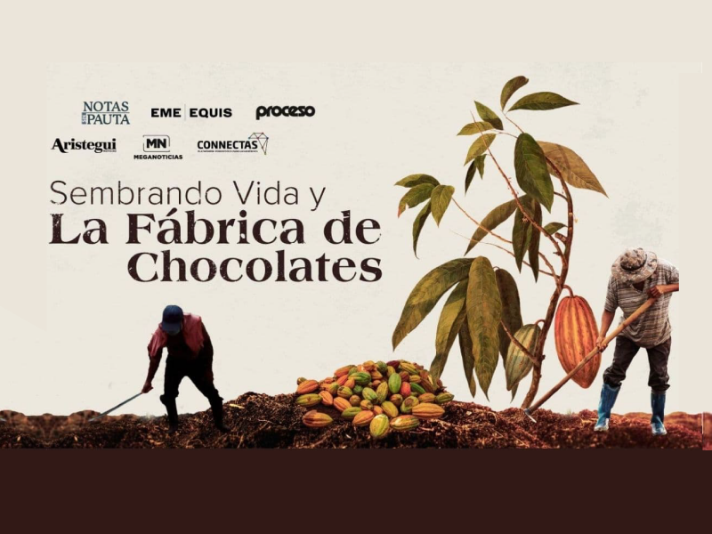 Sembrando vida y la fábrica de chocolates