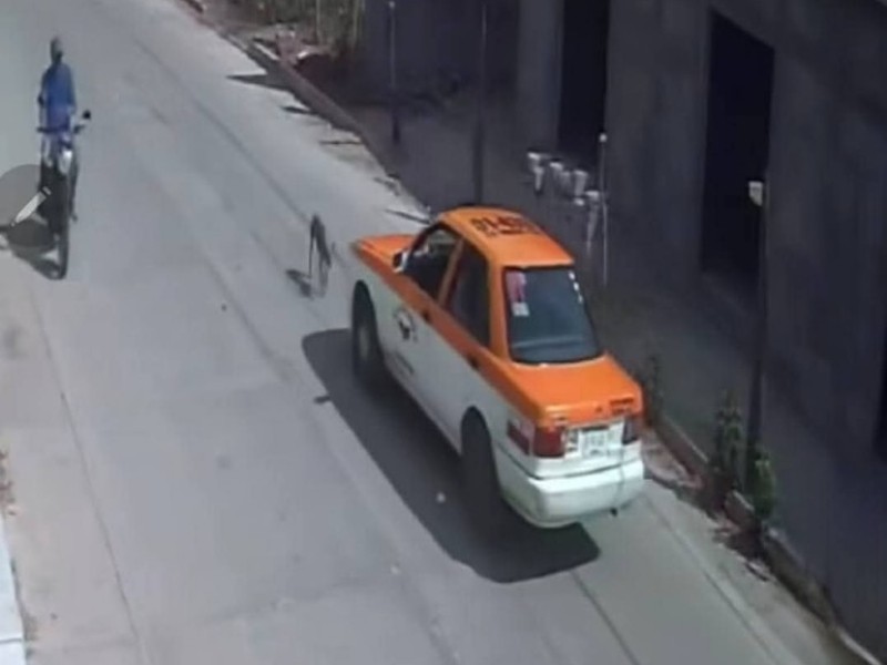 Semovi revocará concesión a taxista por atropellar a perro, Ixtepec