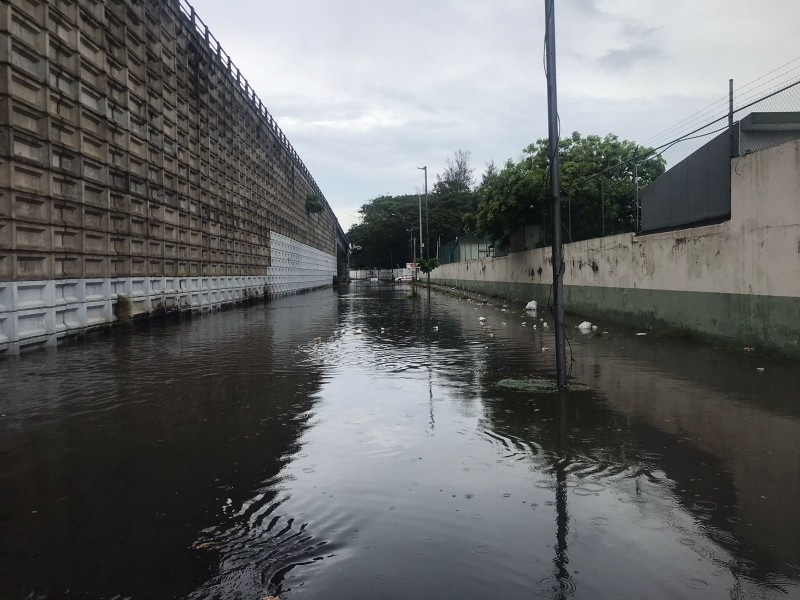 Senadora solicitará regreso del Fonden para atender afectaciones por lluvia