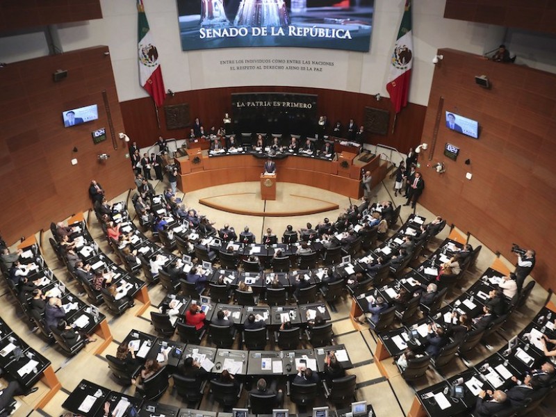 Senadores panistas van por ingreso básico universal